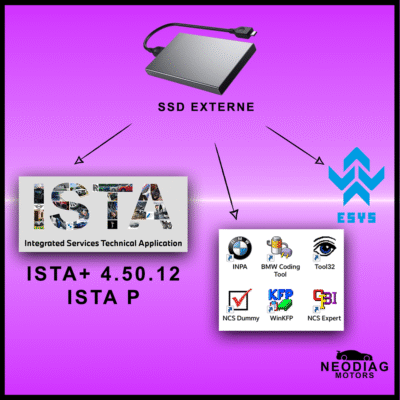 ICOM NEXT INTERFACE + SSD EXTERNE ista+ 4.50/ista P